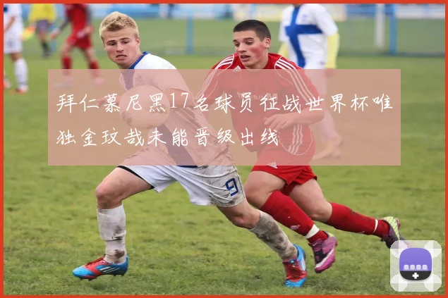 拜仁慕尼黑17名球员征战世界杯唯独金玟哉未能晋级出线