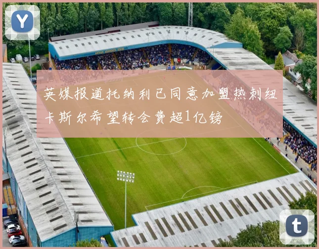 英媒报道托纳利已同意加盟热刺纽卡斯尔希望转会费超1亿镑