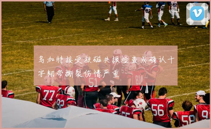 乌加特接受核磁共振检查或确认十字韧带撕裂伤情严重